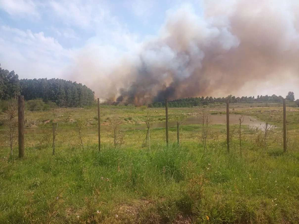 Incendio