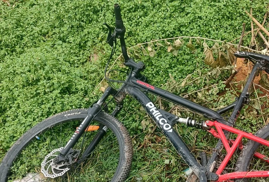 bicicleta