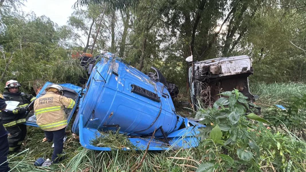 Camion-accidentado-ruta-12-Islas