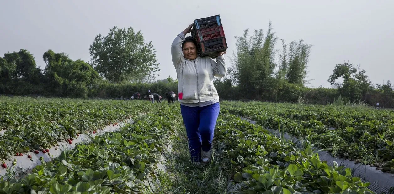 trabajadores rurales