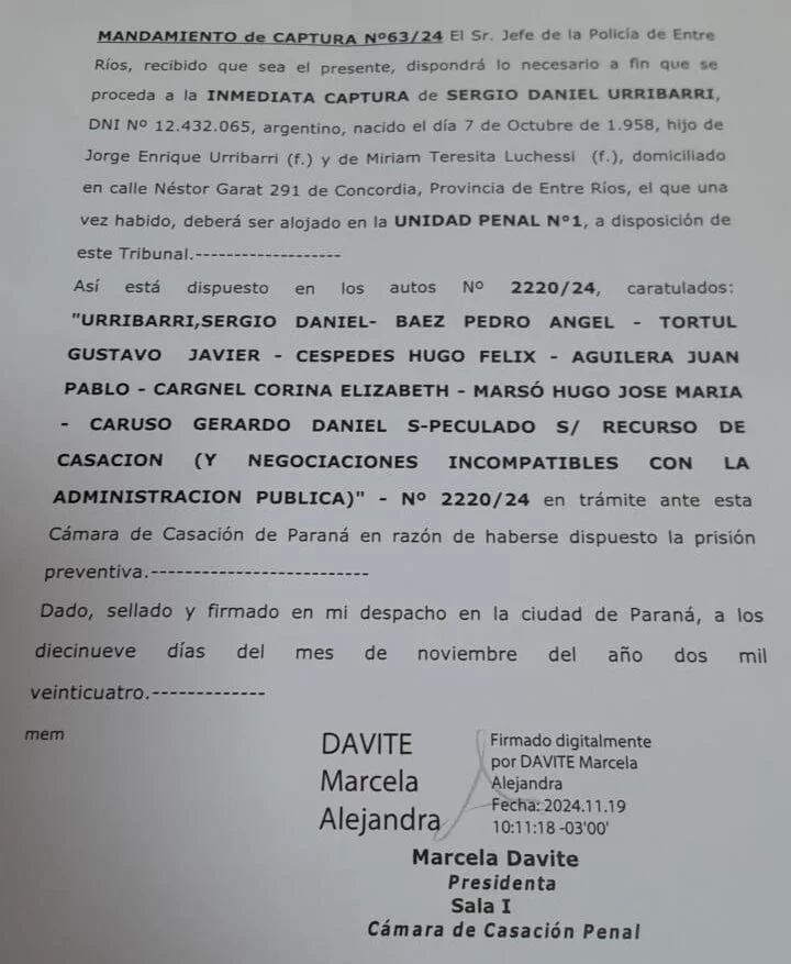 davite1-e1732027319252