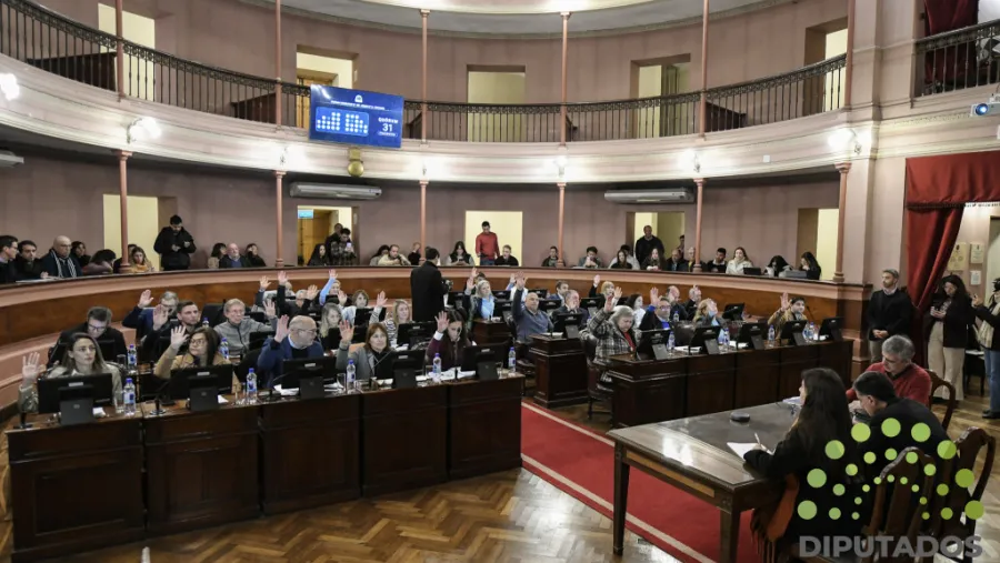 DIPUTADOS