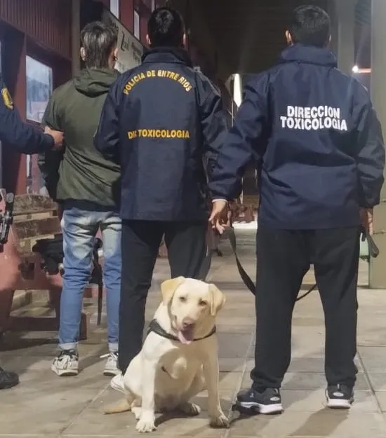 narco