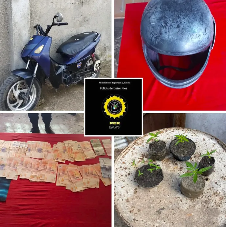 Alanamientos con resultados positivos 3