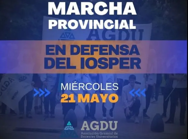 Marcha Docentes Universitarios