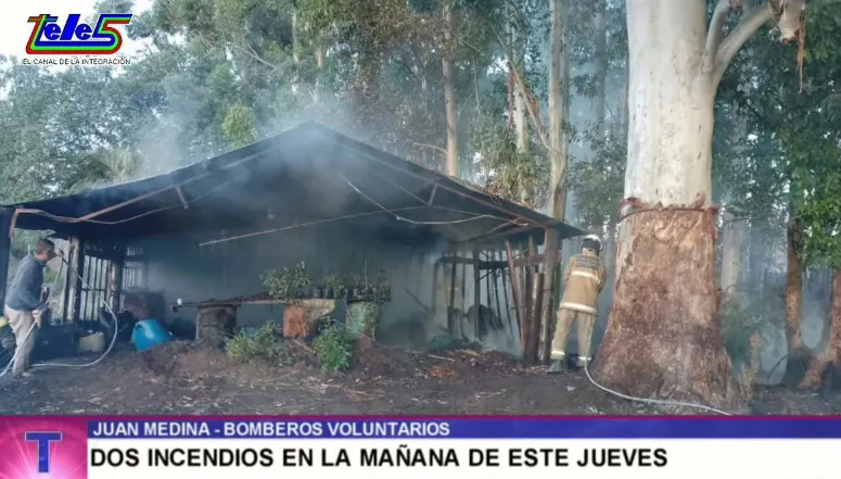 Incendio vivero_2