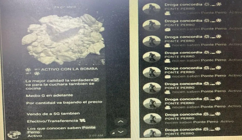 telegram-banda
