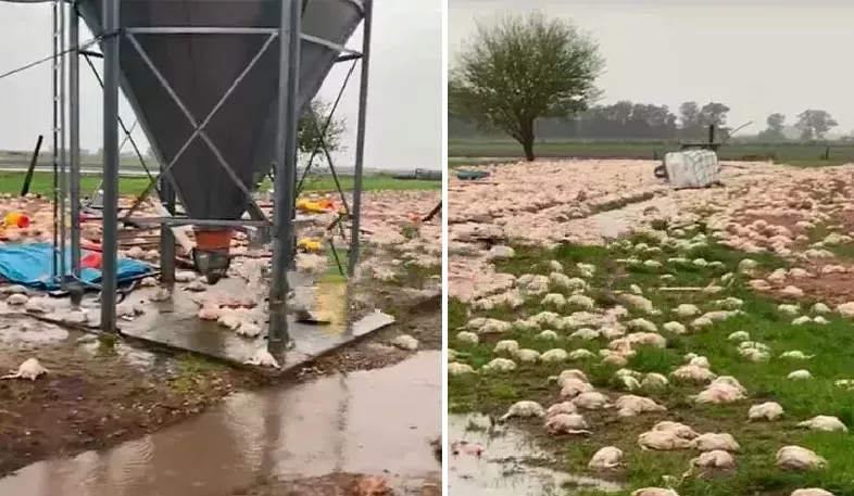 TORNADO DIA JUEVES
