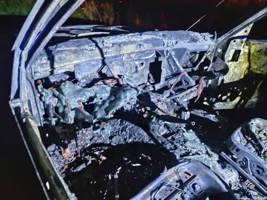 camioneta-ruta-llamas