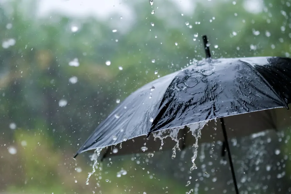 ¿Cómo-recoger-agua-de-lluvia