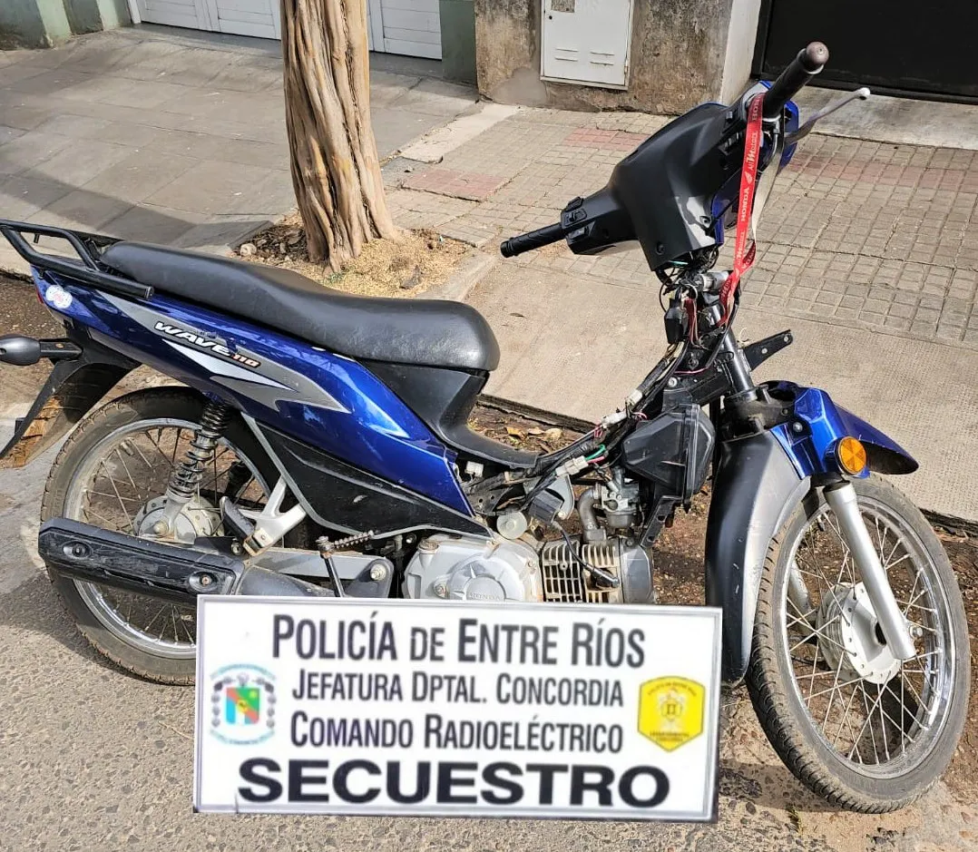 WhatsApp Image 2023-08-01 at 11.36.46 AM (1) (1)