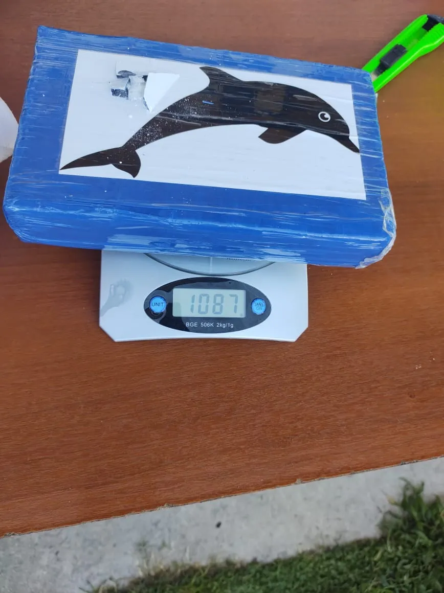 cocaina-secuestrada-delfin