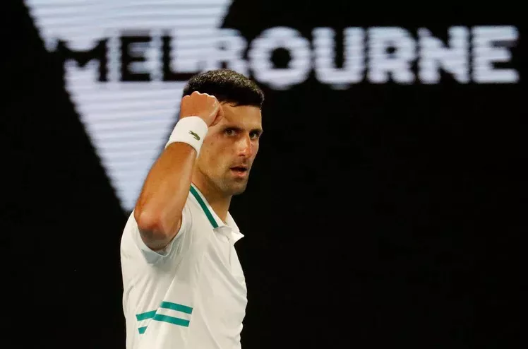 novak