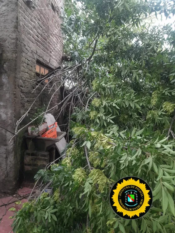 ed387992-10b6-48b2-b538-69fdd5a6de77