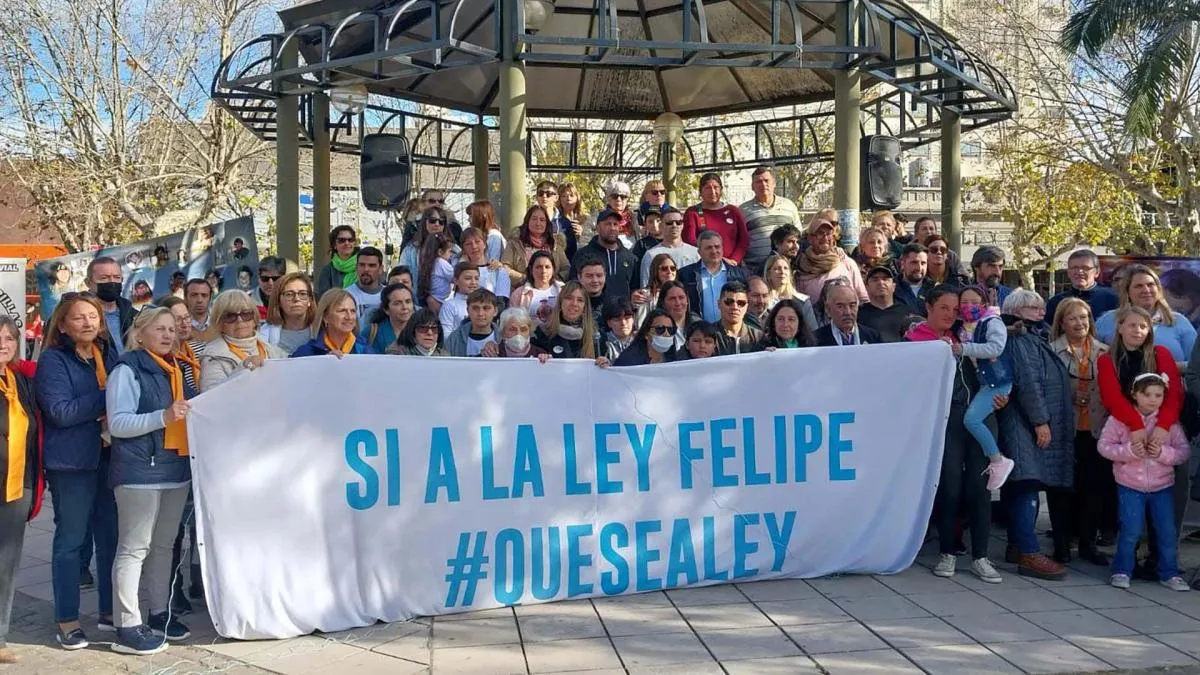 Ley Felipe_2