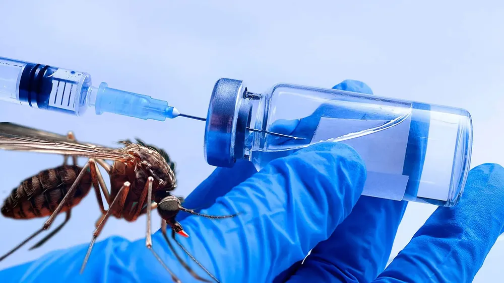 dengue vacuna