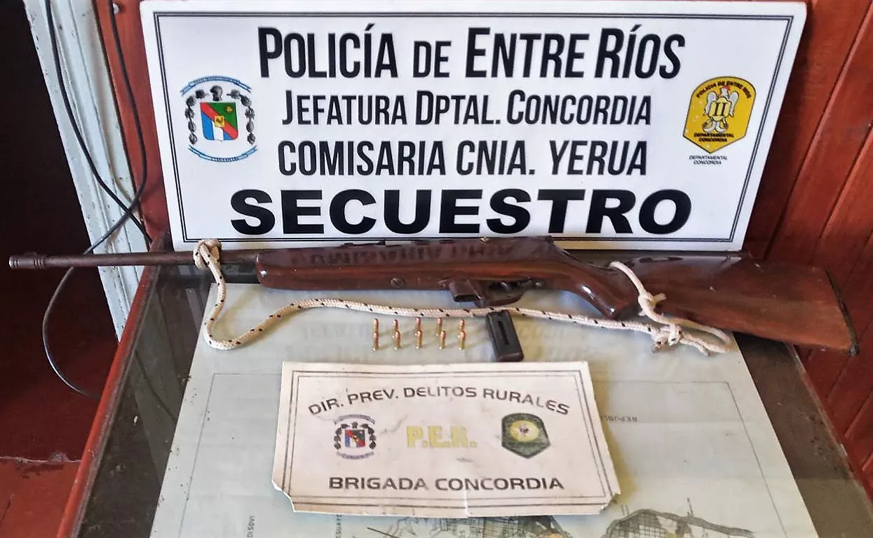 Tenencia ilegal de armas