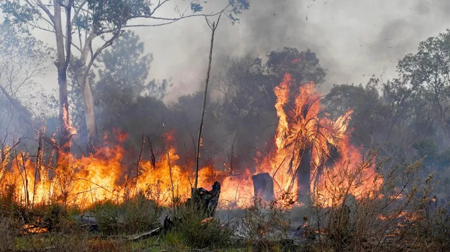 Incendio Corrientes