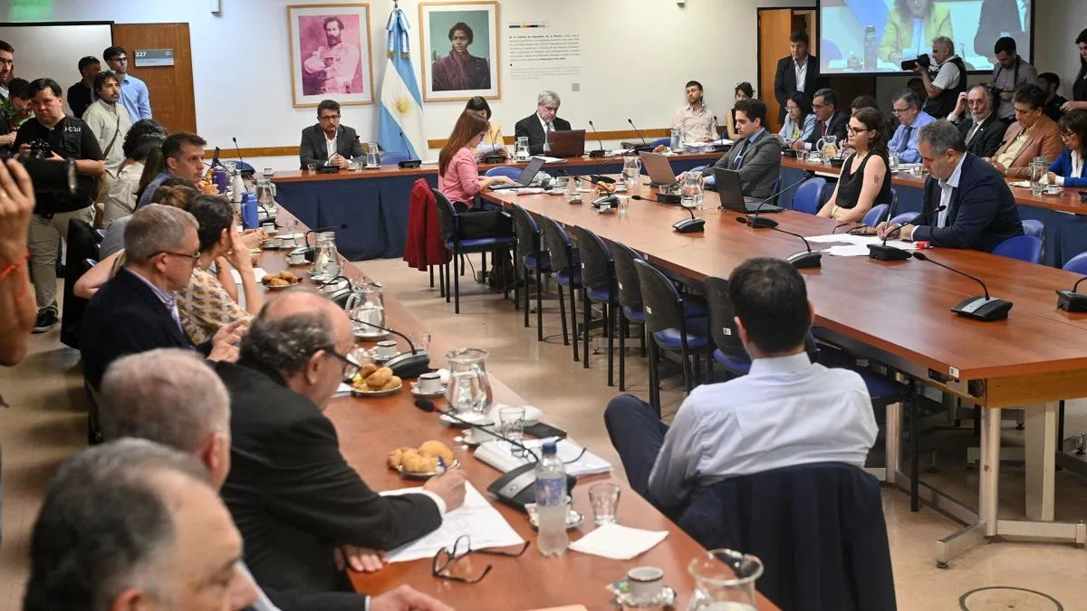 diputado