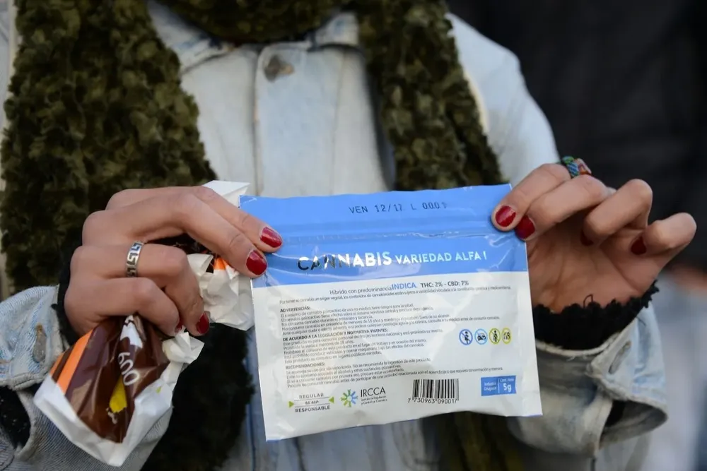 cannabis uruguay