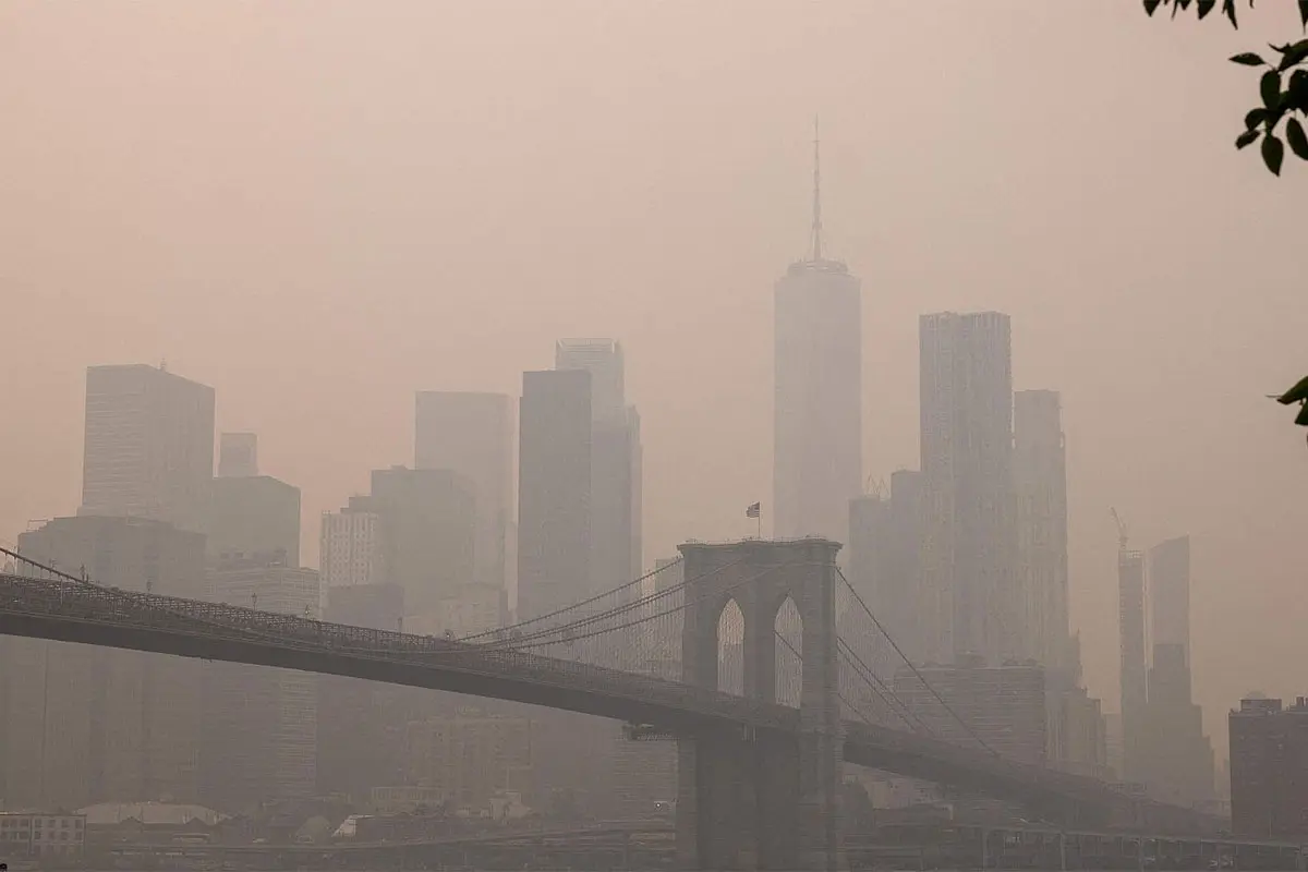 humo