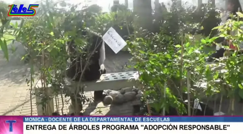 mónica docente departamental de escuelas 2