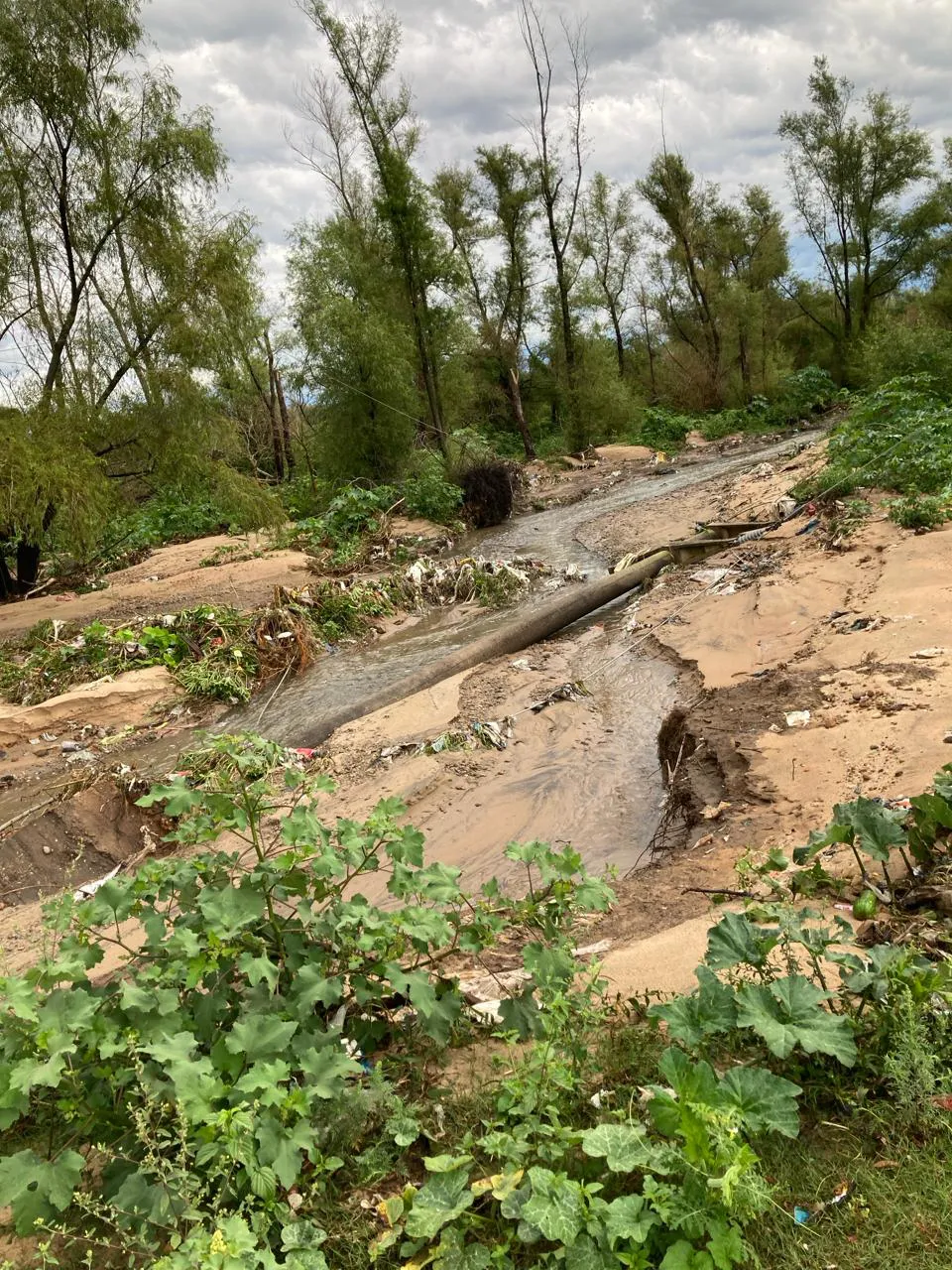 WhatsApp Image 2024-03-09 at 09.53.01