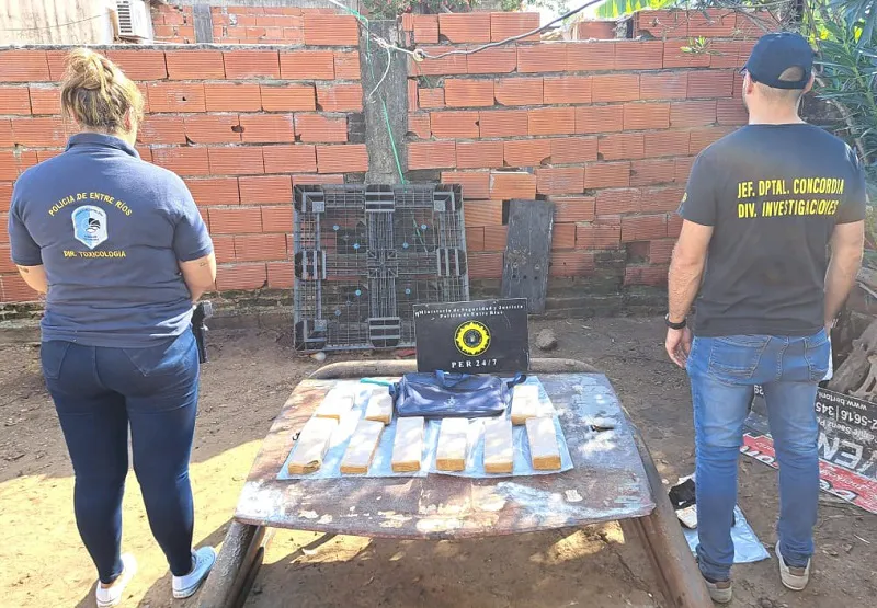 e44f056e-7c11-4606-b800-6727fbe5271d