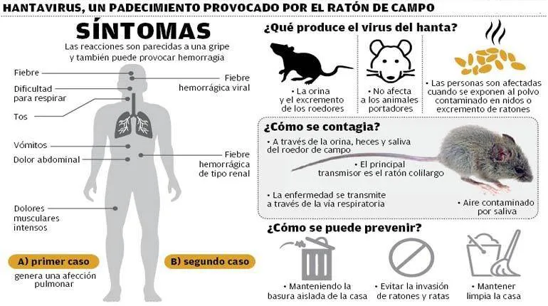recomendaciones hantavirus