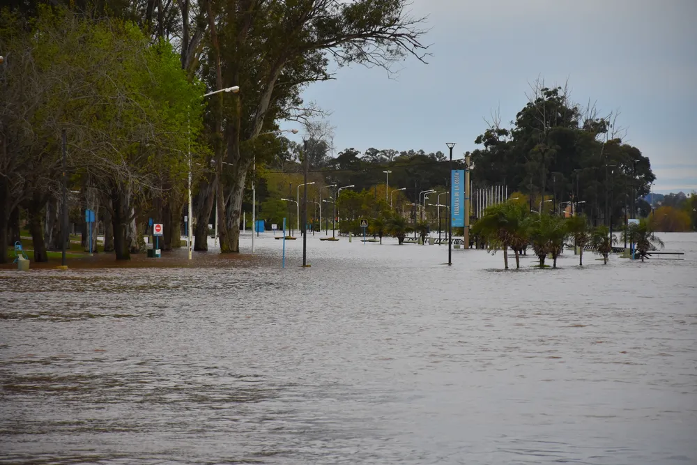 Costanera inundada (2)