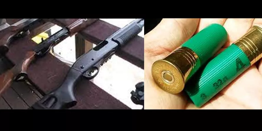 Secuestro de armas de guerra