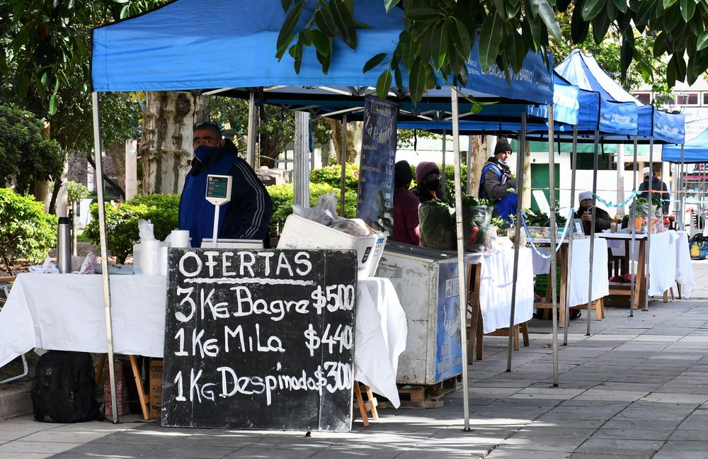 Feria de la Economia Social  (3)
