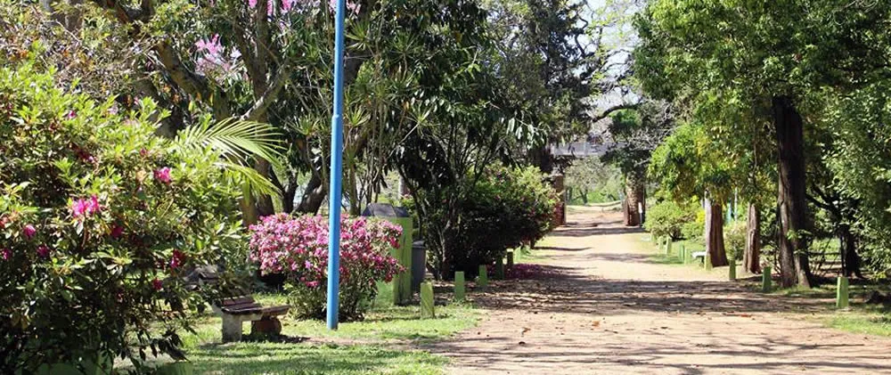 sancarlos