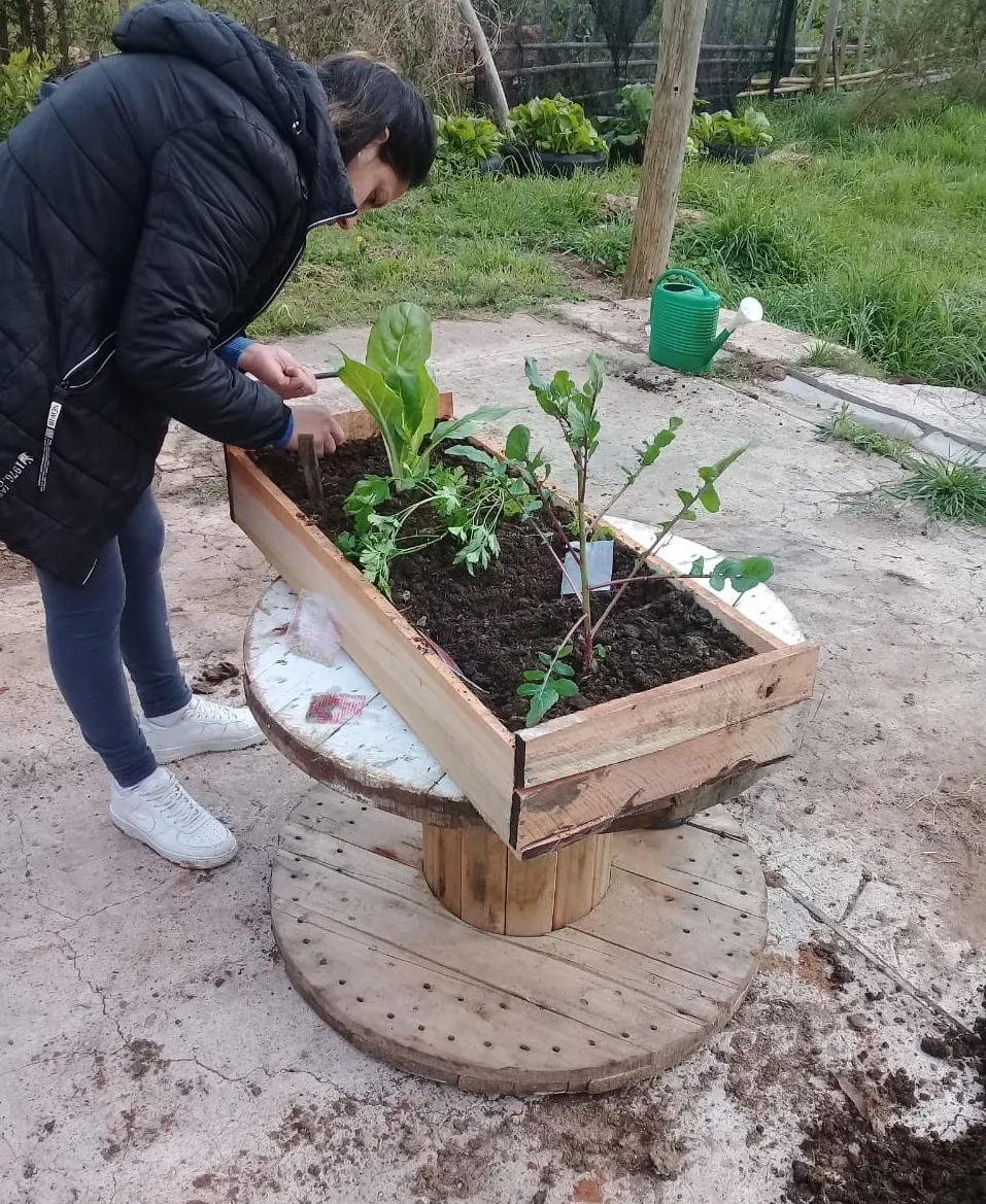 Huerta comunitaria 2