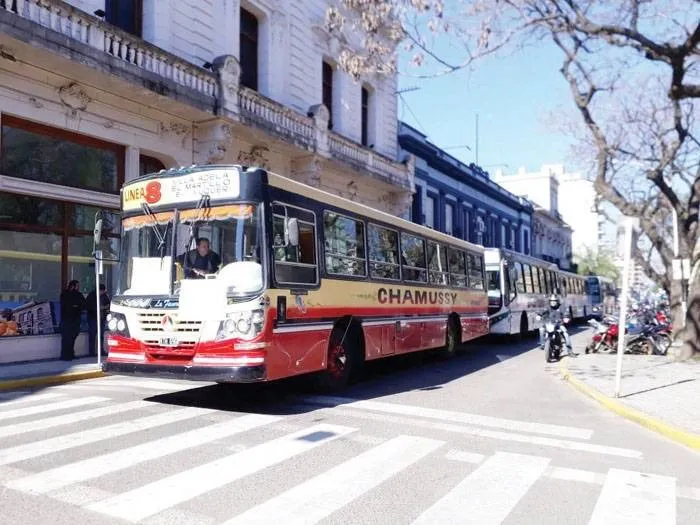 colectivo