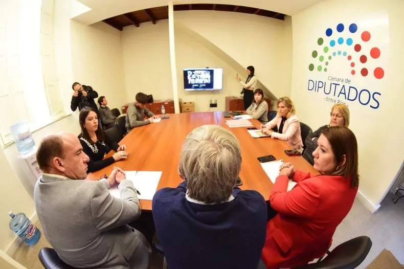 Diputados