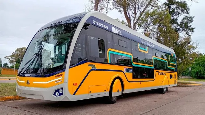 buses