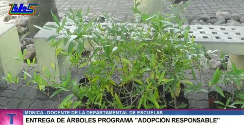 mónica docente departamental de escuelas