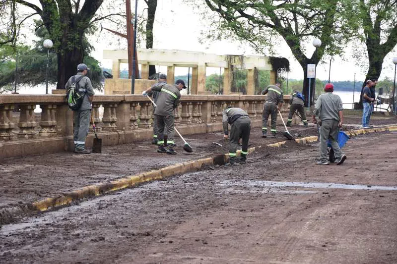 Limpieza Costanera 1
