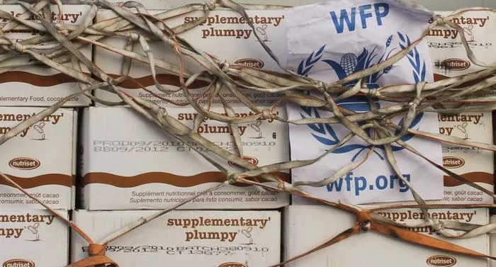 programa mundial de alimentos