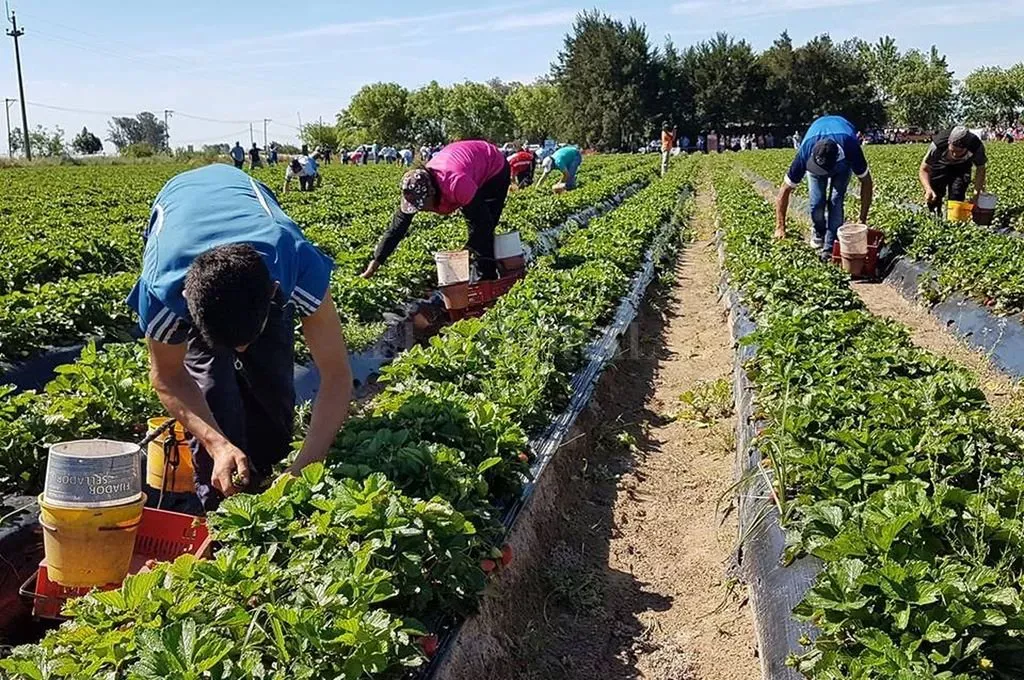 Trabajadores rurales