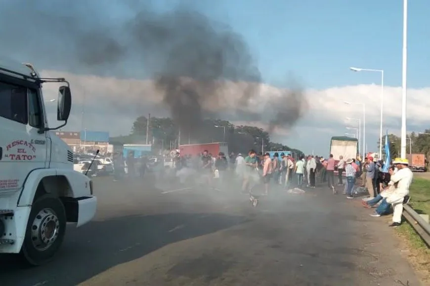 Apicultores protesta