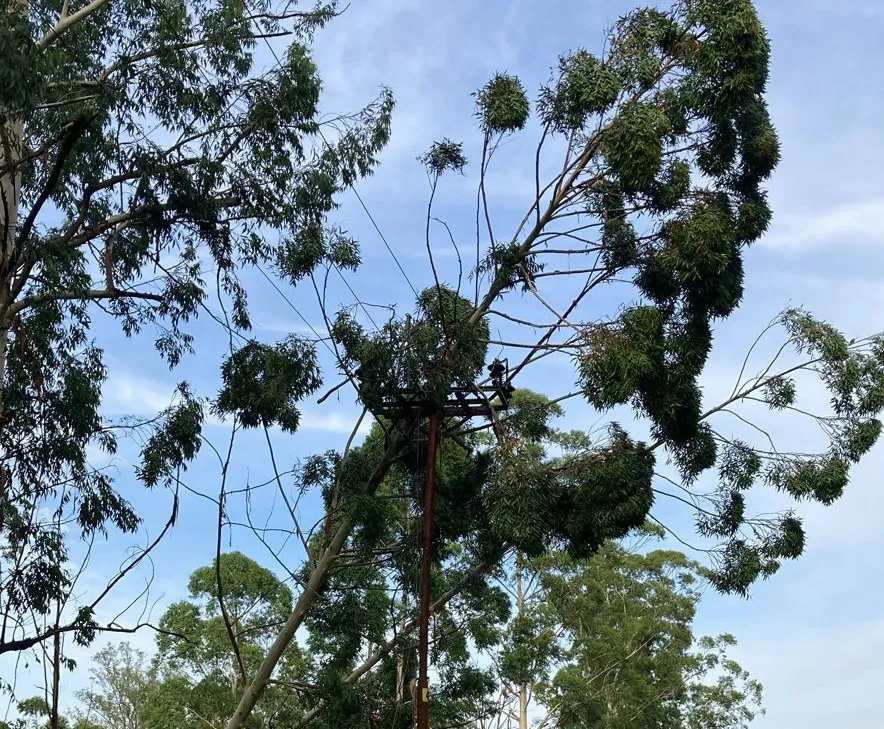 tormenta, cooperativa eléctrica 2