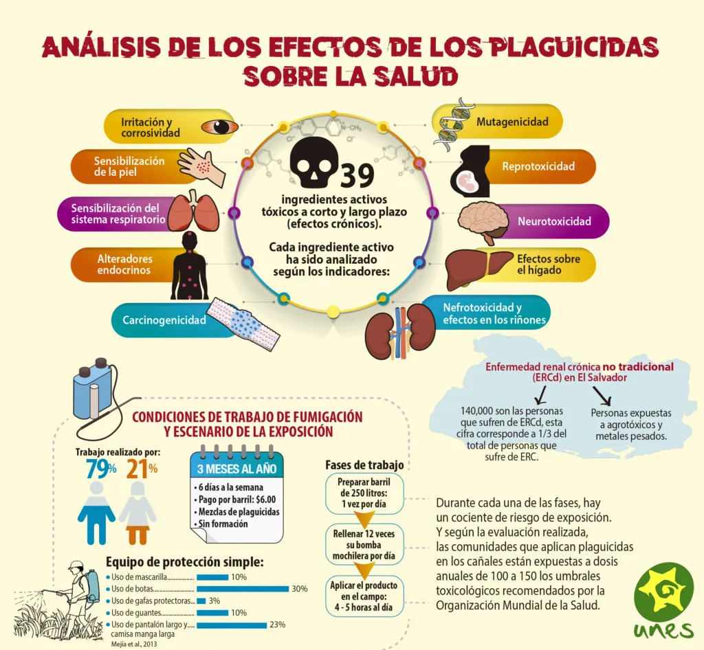 publicacion5-1024x946