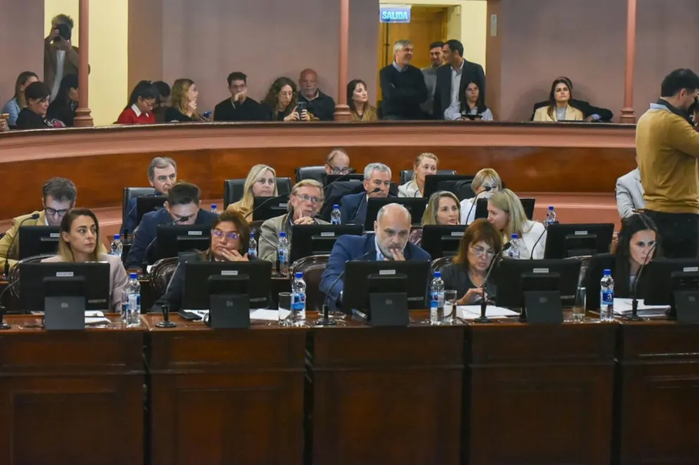 diputados