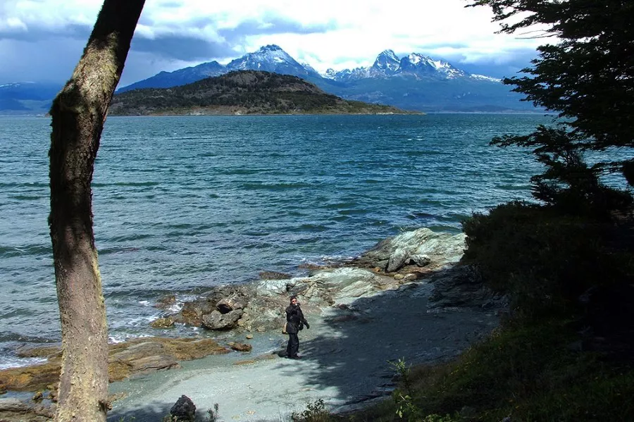 calafate