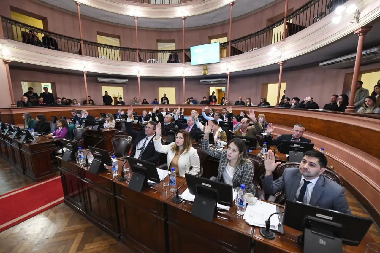 Diputado Marcelo Lopez votando en sesion