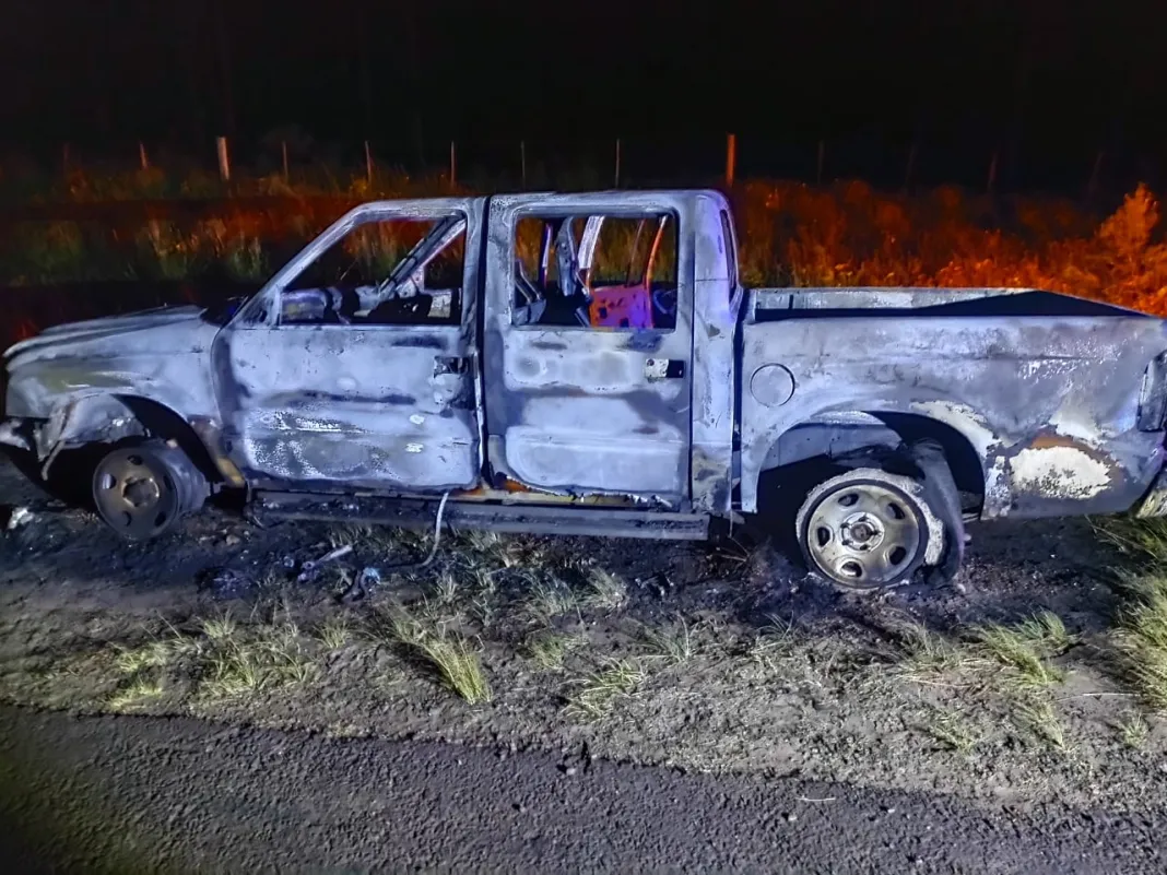 camioneta-llamas-ruta