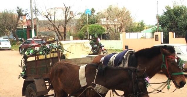 Caballos