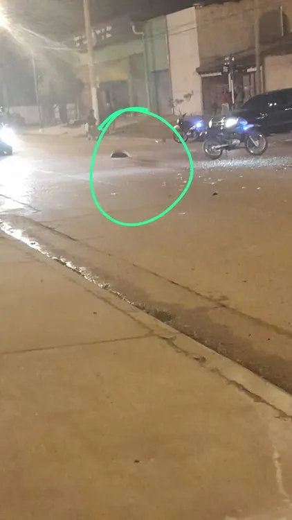 ea2fd47d-3d6f-4b5e-8877-96452057e761